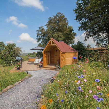 Dol Y Mynydd The Mountain Meadow-Qu7521 Villa Llangerniew Exterior foto